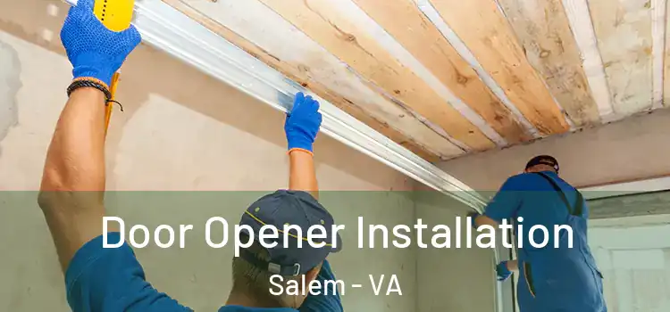  Door Opener Installation Salem - VA