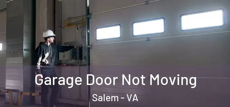  Garage Door Not Moving Salem - VA