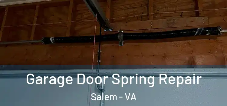  Garage Door Spring Repair Salem - VA
