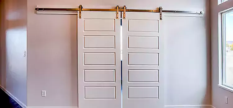 Glass Barn Door with Installation Hardware Kit Salem